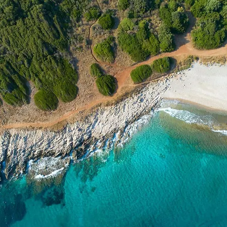 Anastasios Вилла *